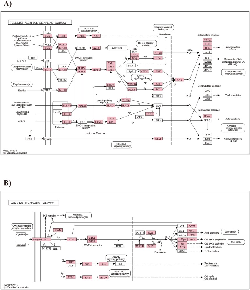 Fig 4