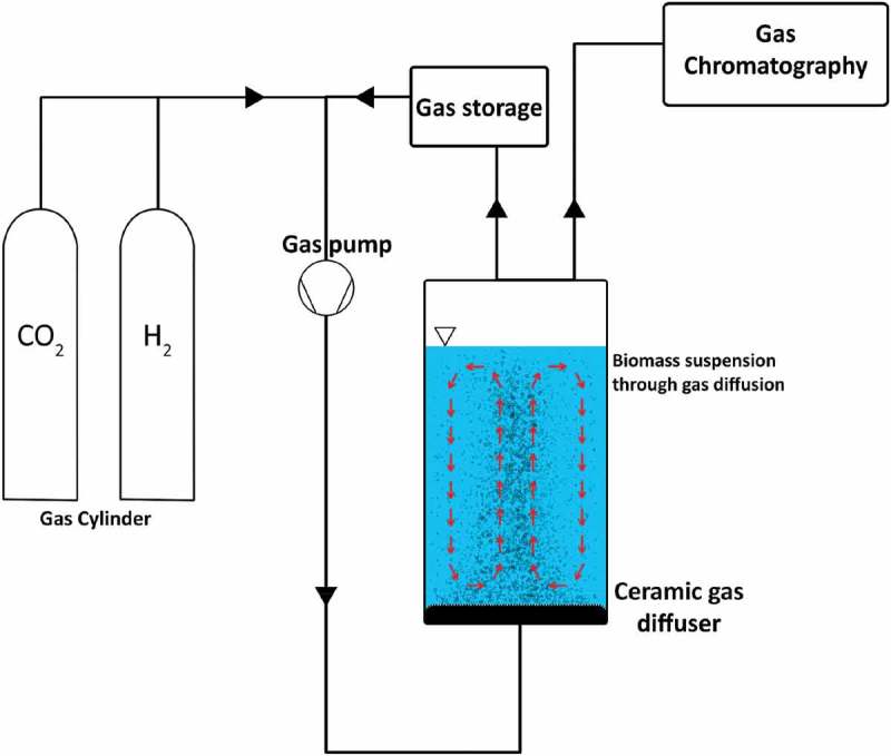 Figure 5.