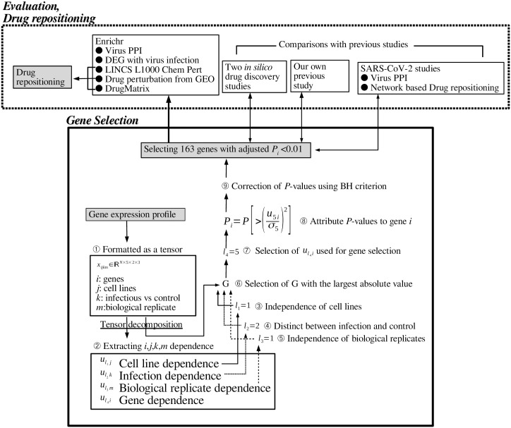 Fig 1