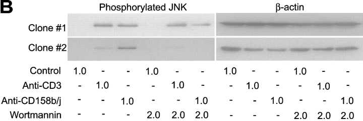 Figure 9.