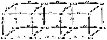 Fig. 1.