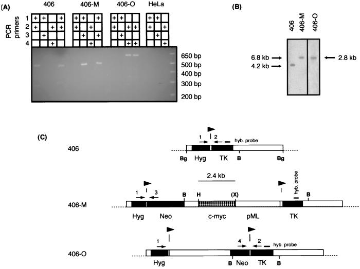 FIG. 4