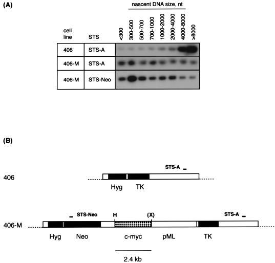 FIG. 8