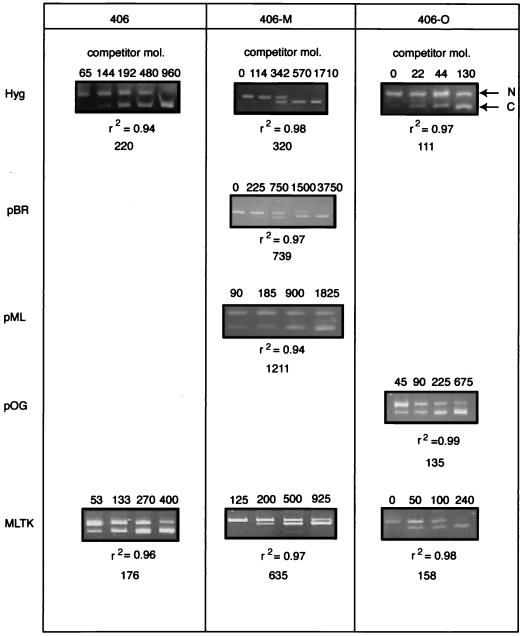 FIG. 6