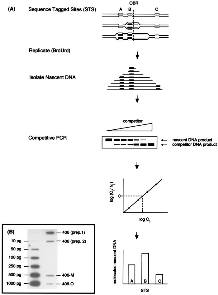 FIG. 5