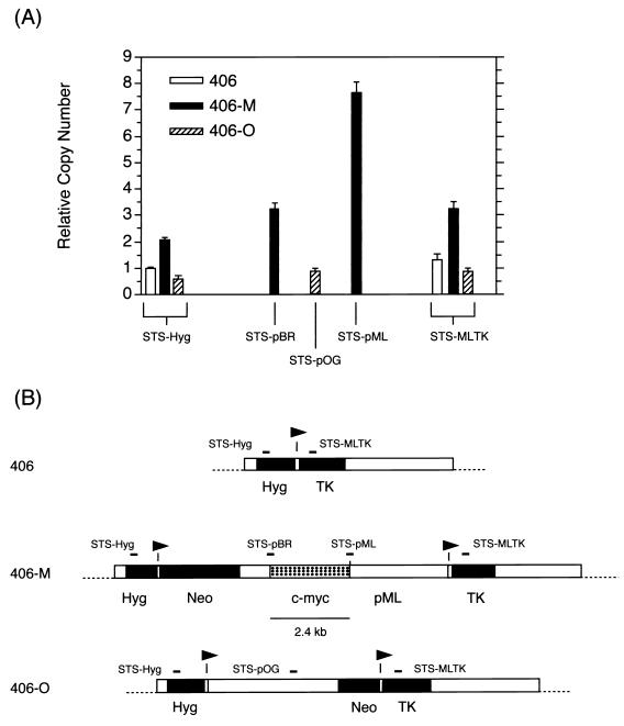 FIG. 7