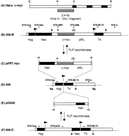 FIG. 1