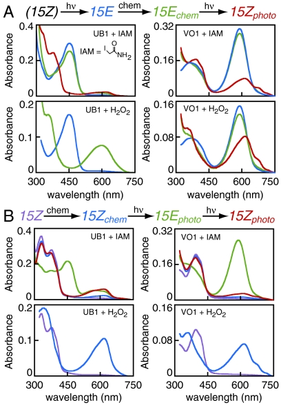 Fig. 4.