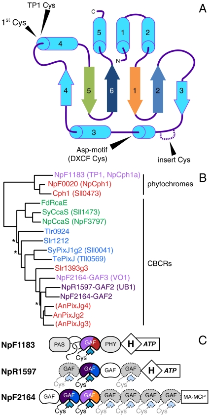 Fig. 1.