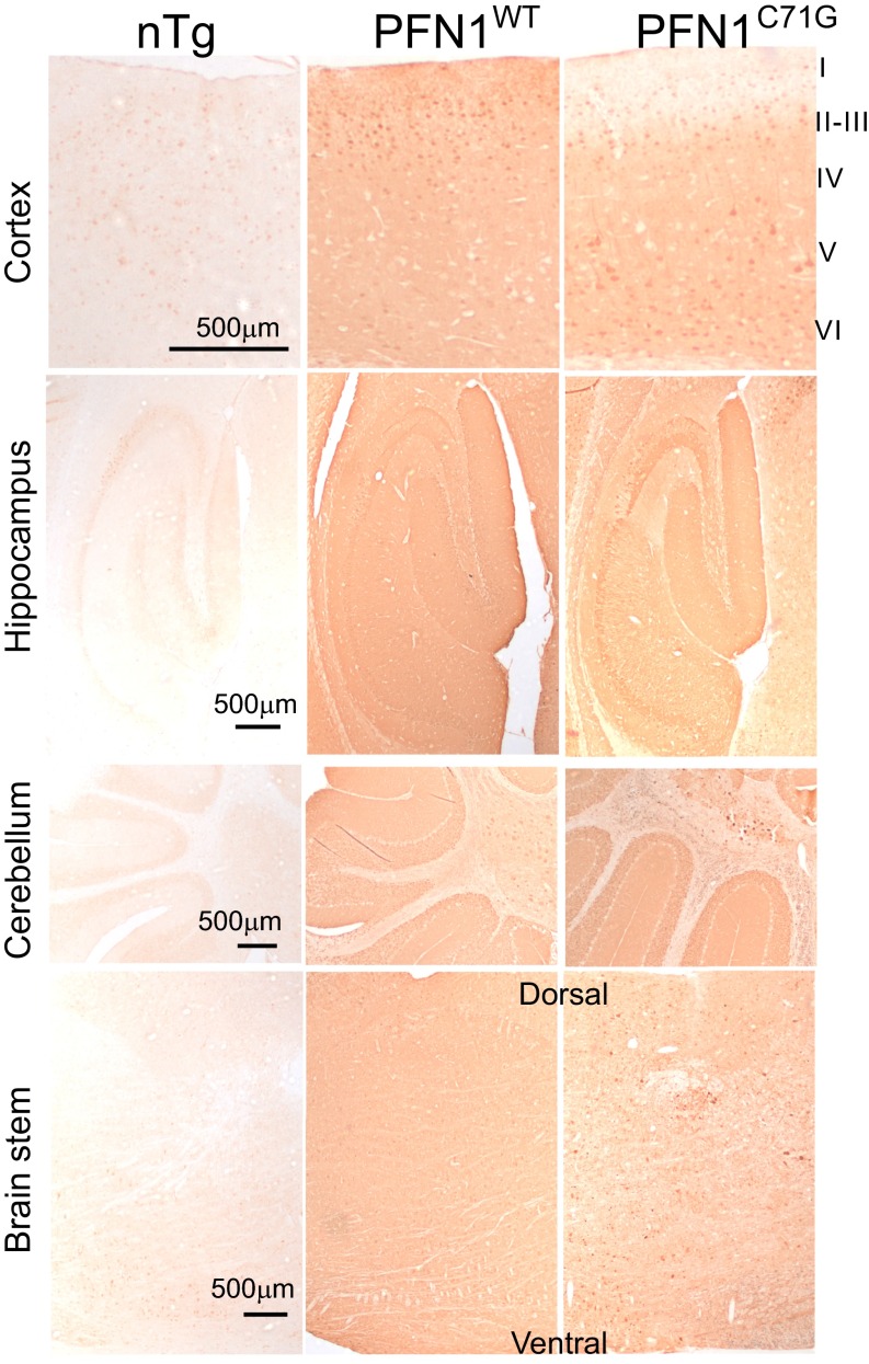 Fig. S7.