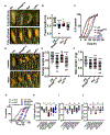 Figure 7: