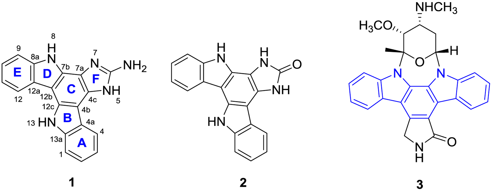 FIGURE 1.