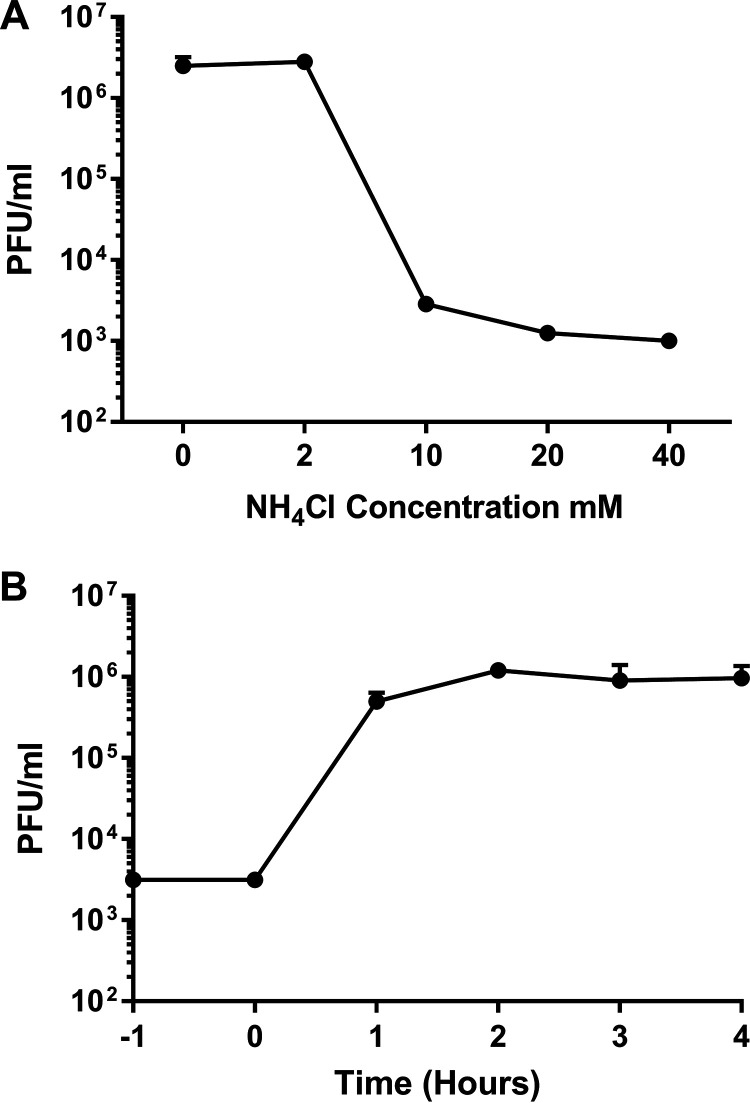 FIG 1