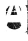 Fig. 10.