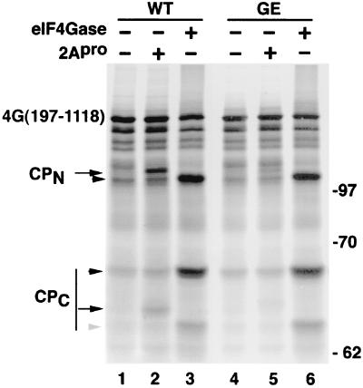 FIG. 4.