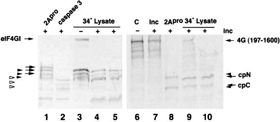 FIG. 10.