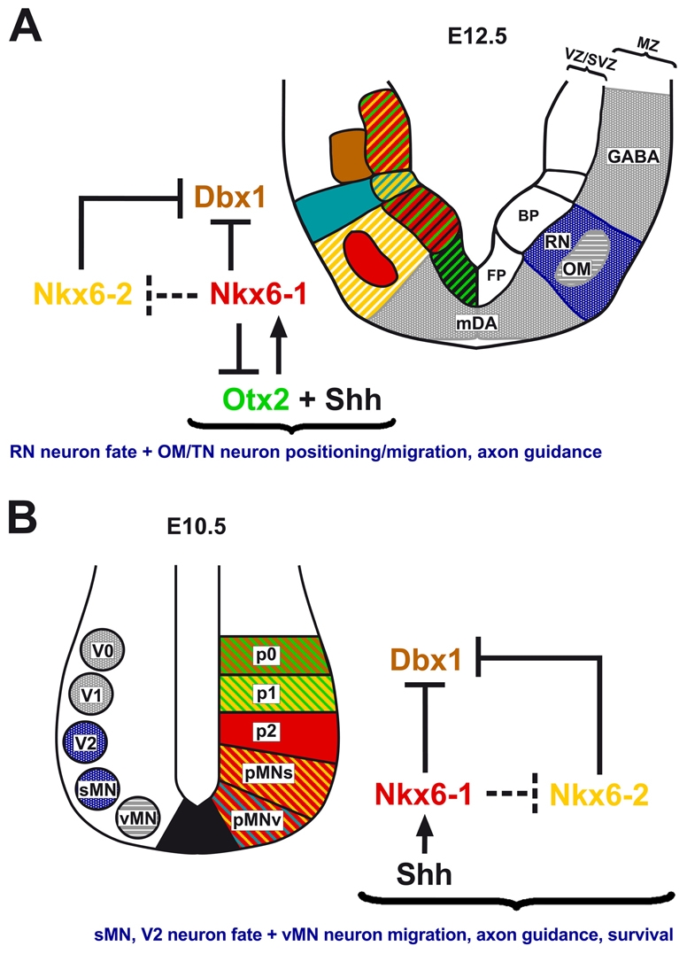 Fig. 8.