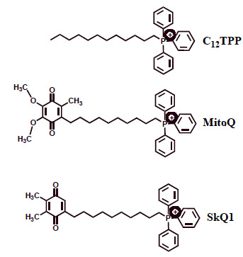 Fig. (3)