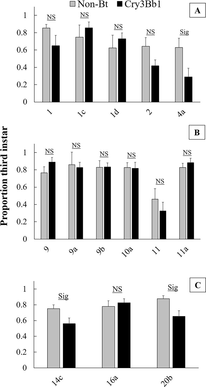 Fig 5