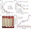 Figure 2 |
