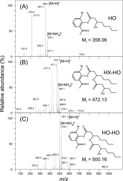 FIG. 5.