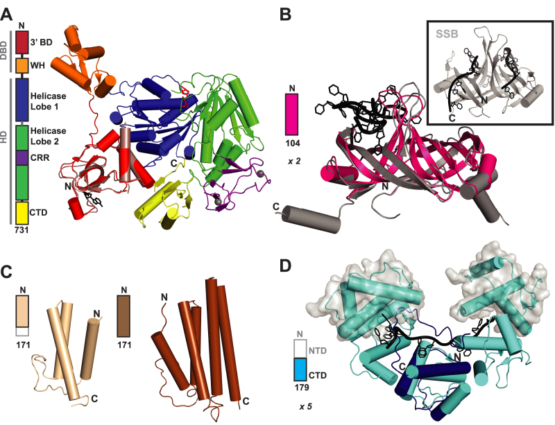 Figure 2.