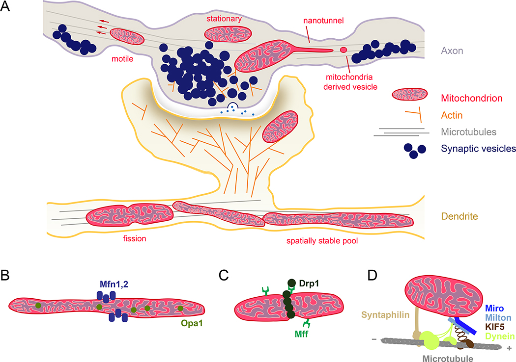 Figure 2.