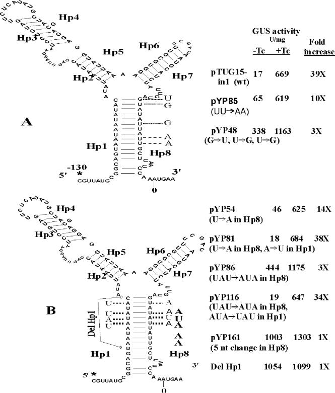 FIG. 8.