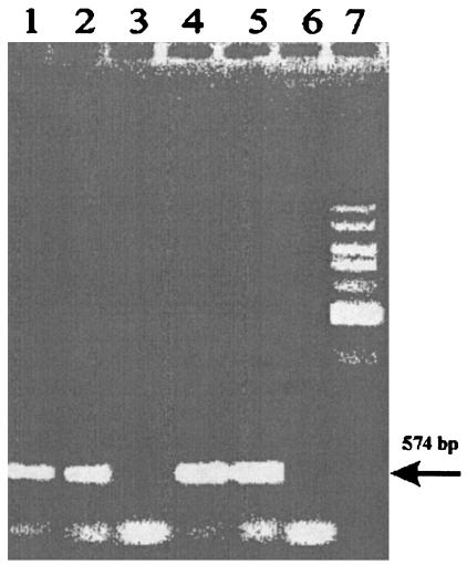 FIG. 6.