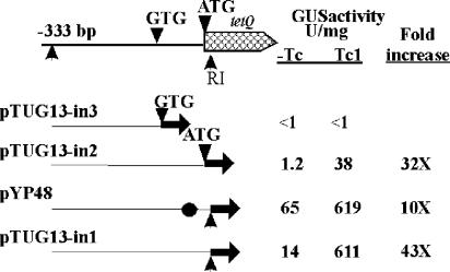 FIG. 7.