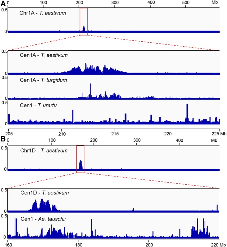 Figure 6.