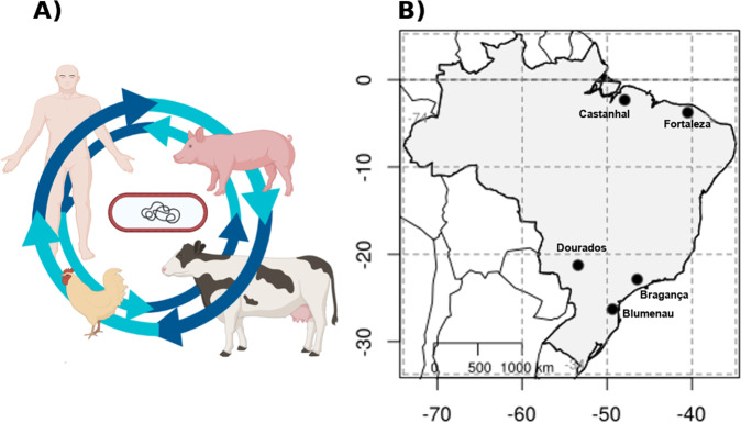 Fig. 1