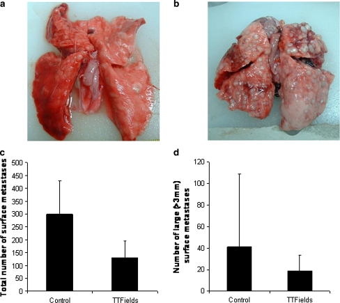 Fig. 6