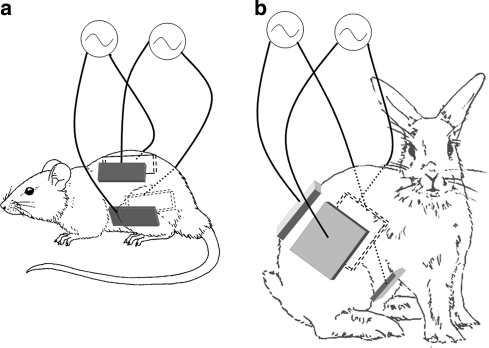 Fig. 1