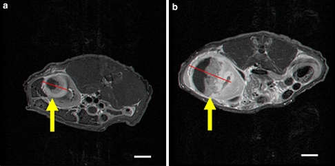 Fig. 4