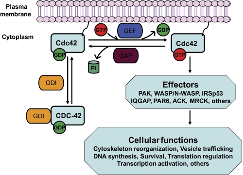 FIGURE 1.