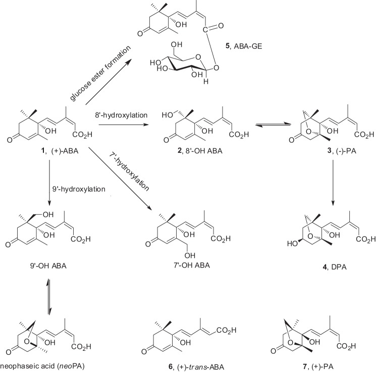 FIGURE 9.