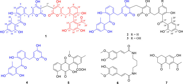 FIGURE 1