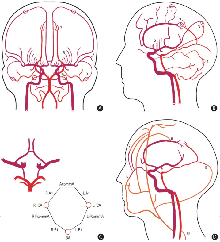 Figure 1.