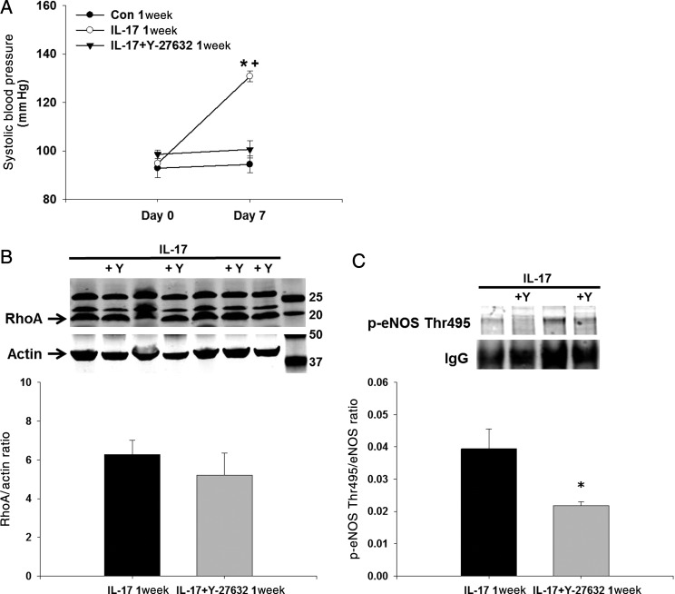 Figure 6