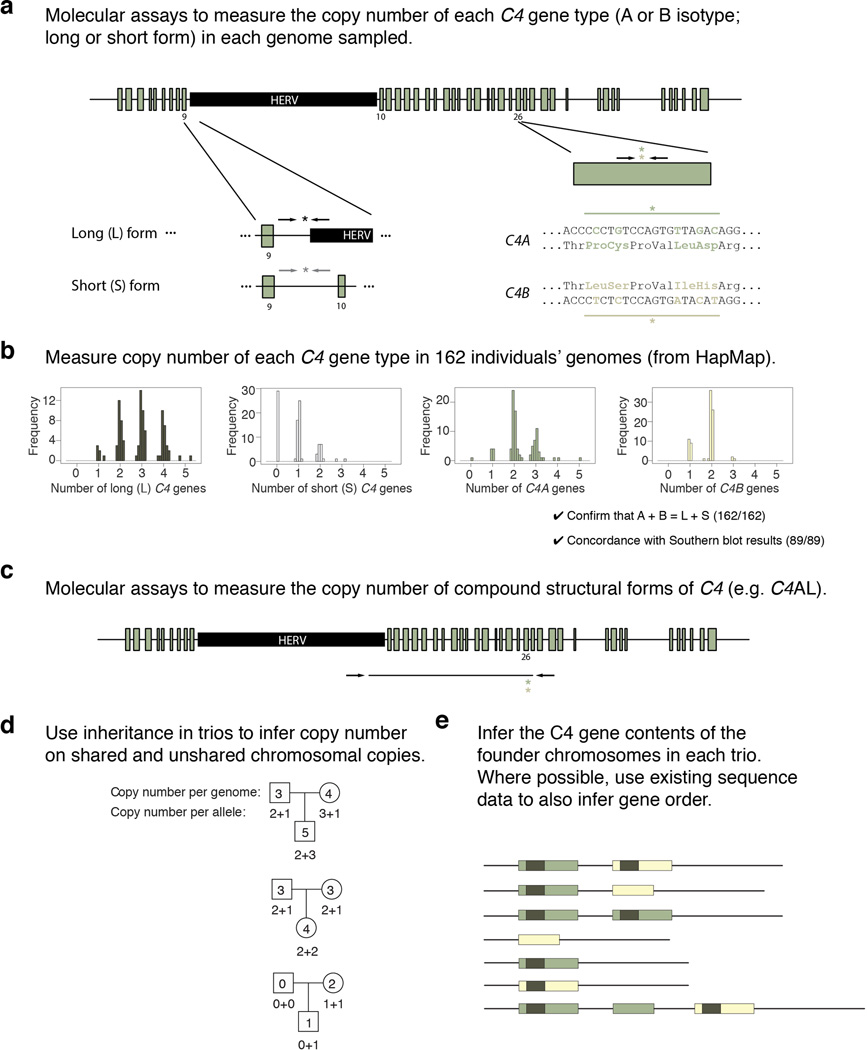 Extended Data Figure 2