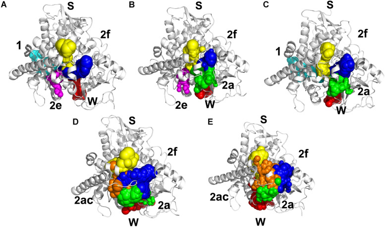 FIGURE 5