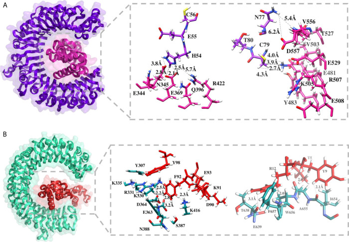 Figure 6