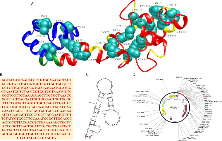 Figure 4