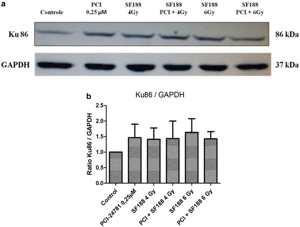 Fig. 8