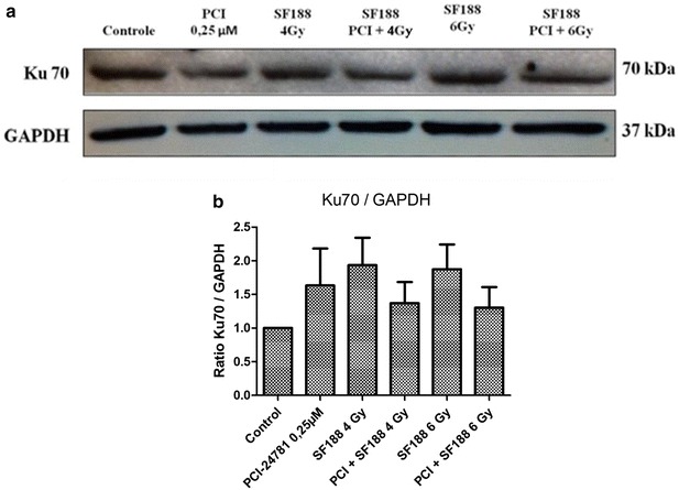 Fig. 7