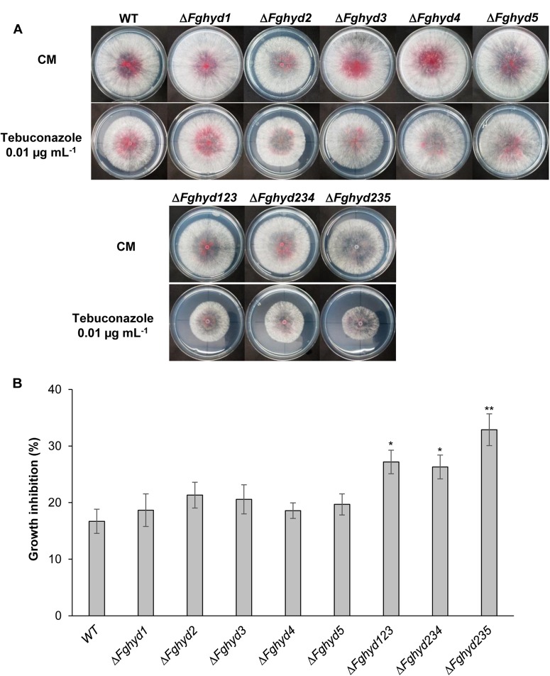 FIGURE 6