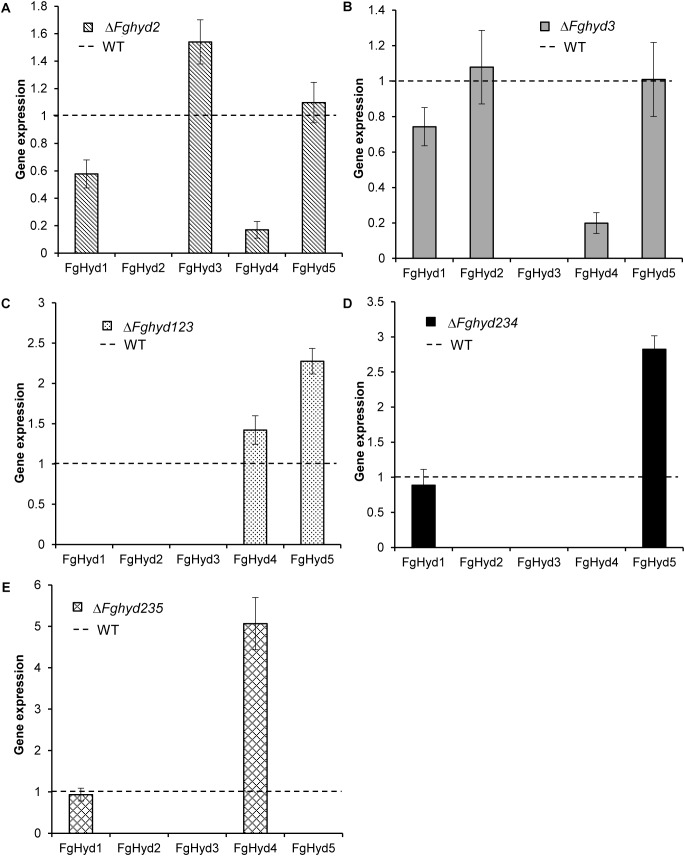 FIGURE 11