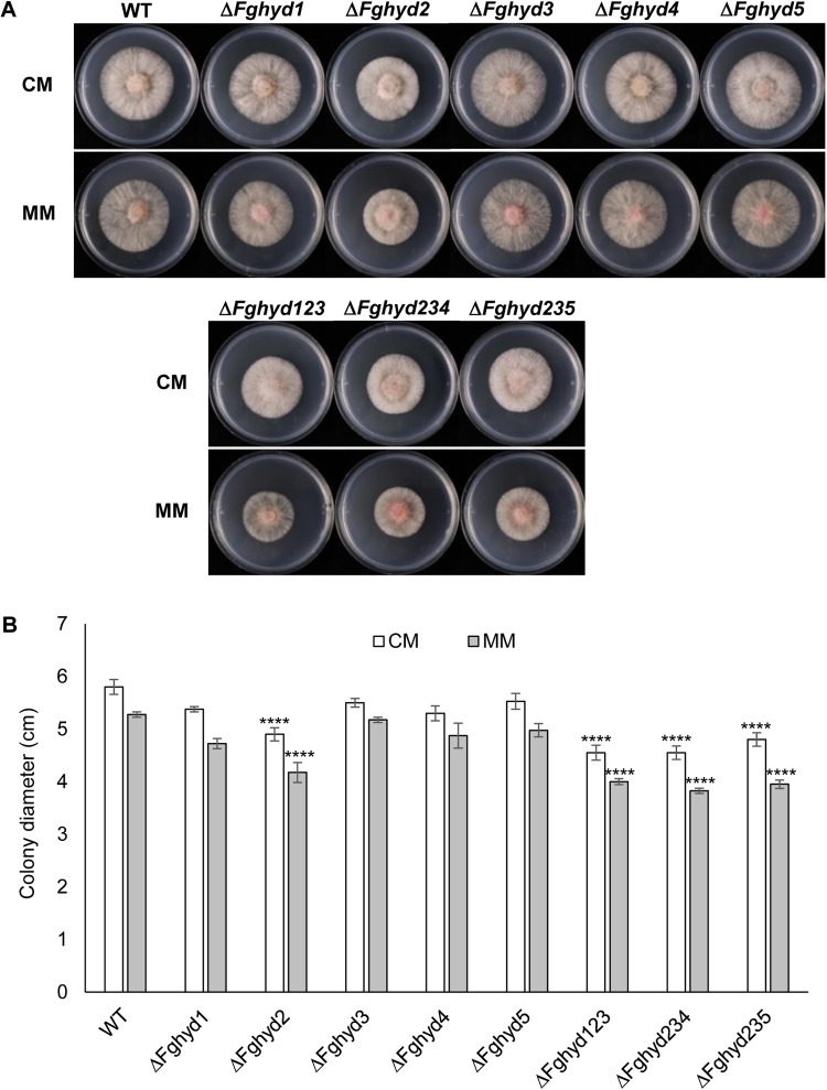 FIGURE 3