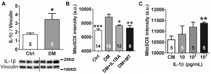 Figure 2